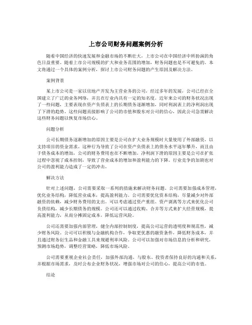 上市公司财务问题案例分析