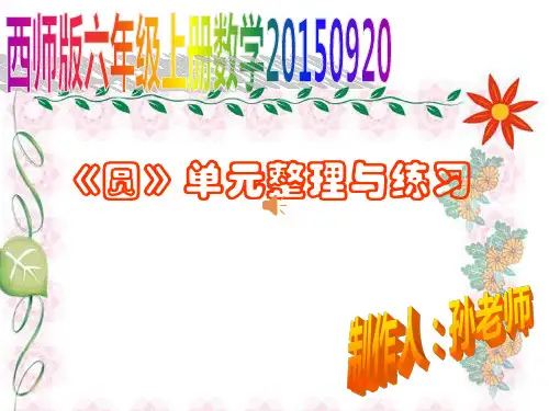 六年级上册数学圆的整理和复习