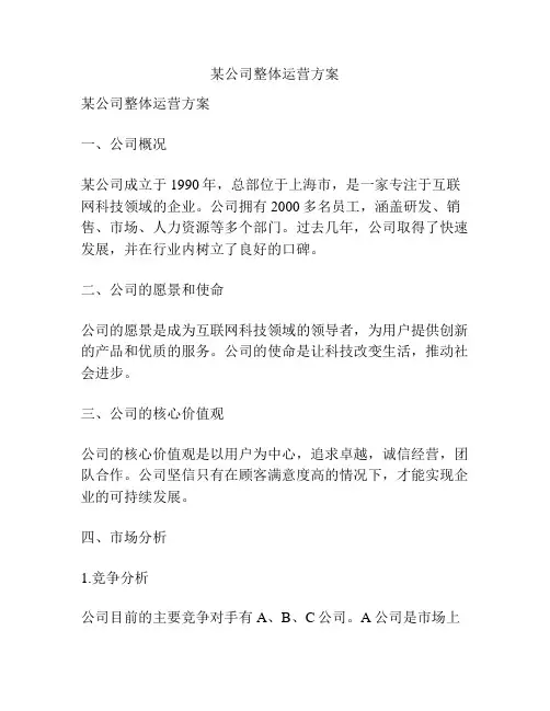 某公司整体运营方案