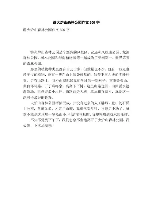 游火炉山森林公园作文300字（优秀篇）