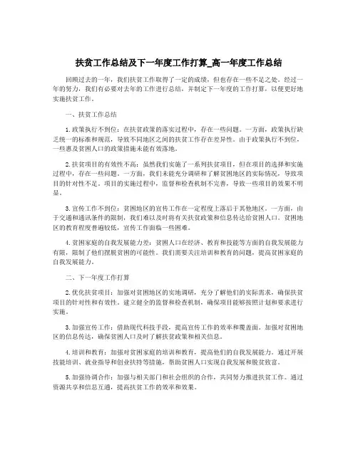 扶贫工作总结及下一年度工作打算_高一年度工作总结