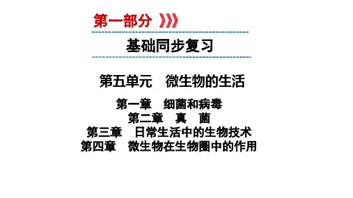 2021年中考广西专用生物基础 复习冀少版第五单元第一、二、三、四章 细菌和病毒  真 菌   