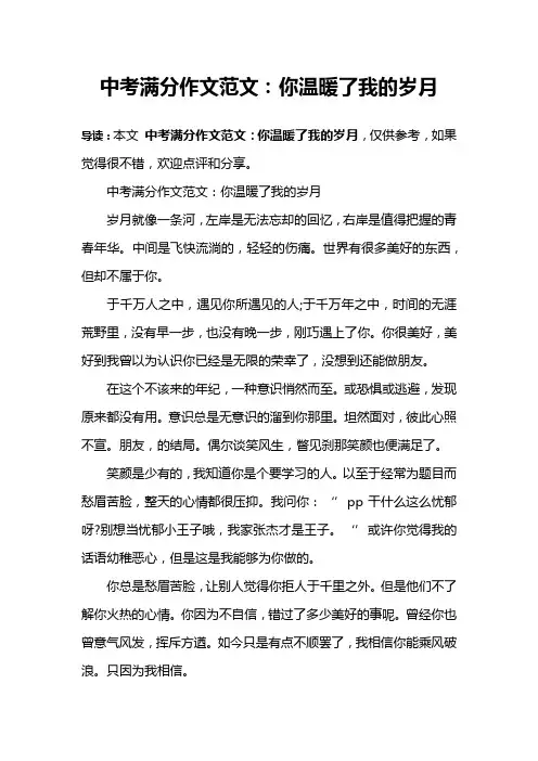 中考满分作文范文：你温暖了我的岁月