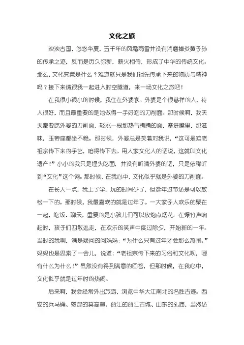 高一作文：文化之旅作文800字