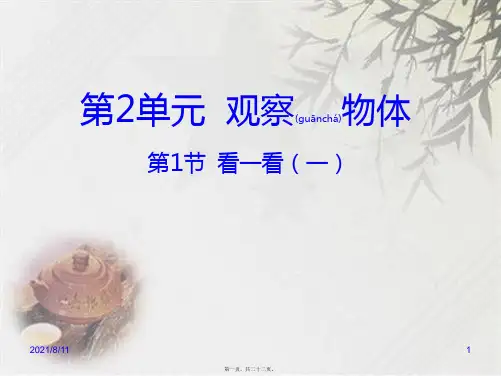 北师大版三年级上册数学看一看(一) (共20张PPT)