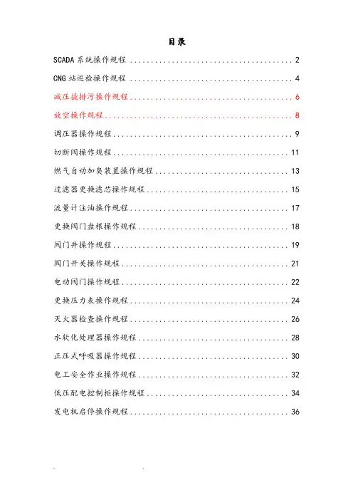 天然气门站操作规程完整