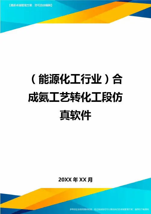 (能源化工行业)合成氨工艺转化工段仿真软件