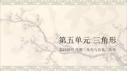 中考数学复习第5单元三角形第21课时等腰三角形与直角三角形课件 (2)