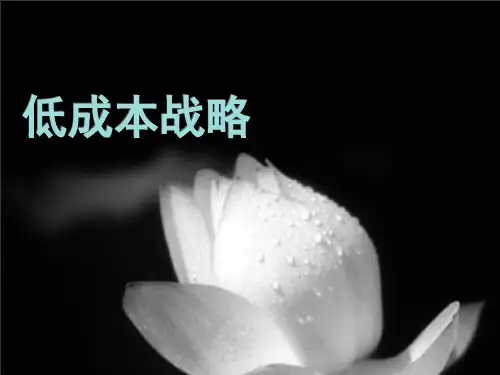 低成本战略PPT课件