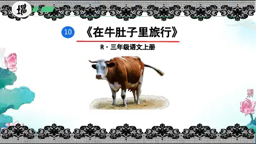 10.《在牛肚子里旅行》课件(共37张PPT)