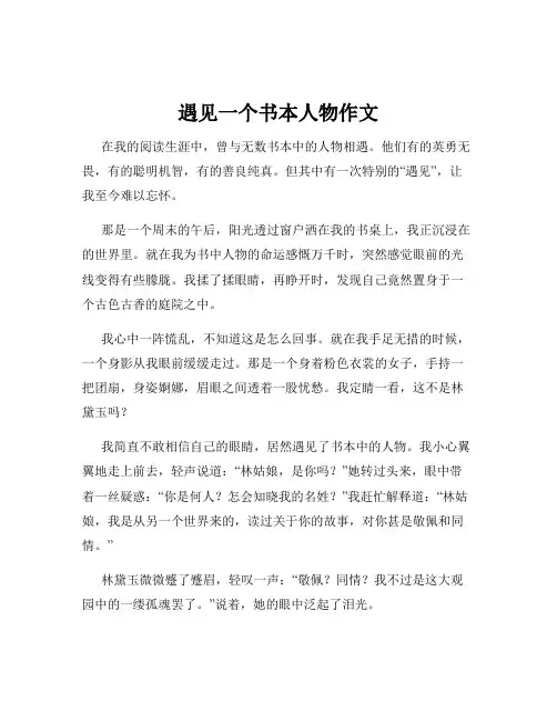 遇见一个书本人物作文