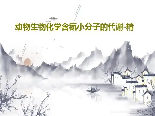 动物生物化学含氮小分子的代谢-精PPT文档67页