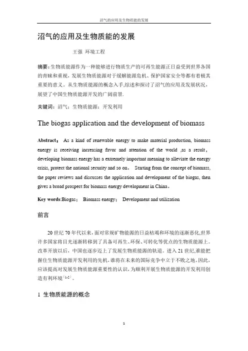 沼气的应用及生物质能的发展(王强)【范本模板】