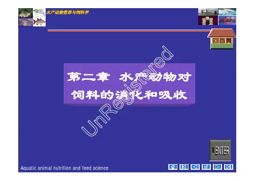 2 水产动物对饲料的消化和吸收