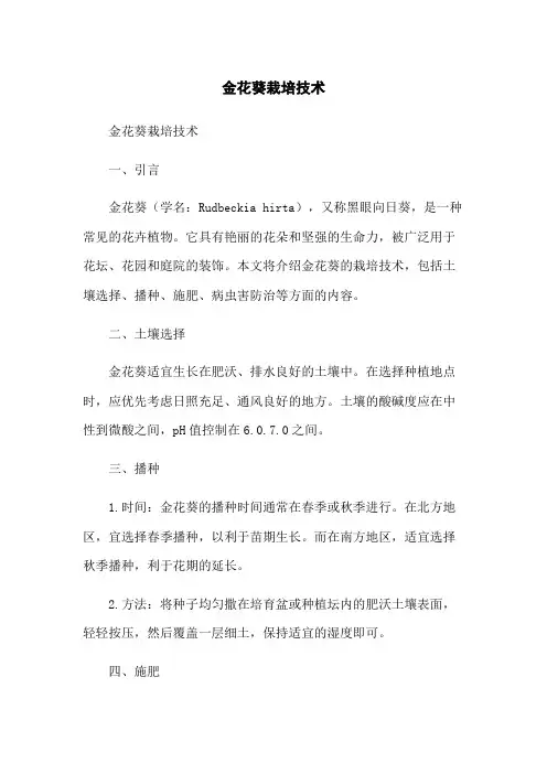 金花葵栽培技术