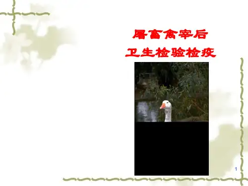 屠畜宰后兽医卫生检验ppt课件