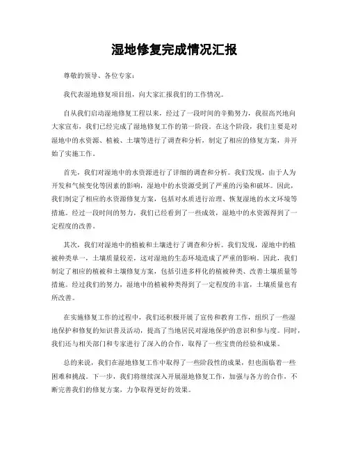 湿地修复完成情况汇报