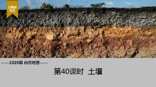 2025届高考地理一轮复习课件 土壤