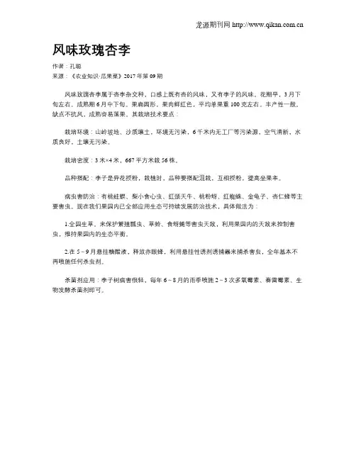 风味玫瑰杏李