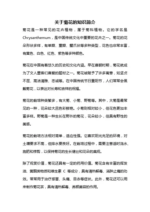 关于菊花的知识简介
