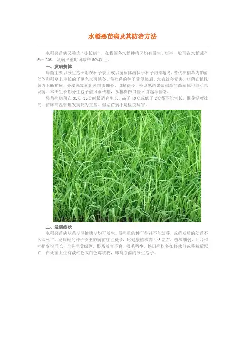 水稻恶苗病及其防治方法