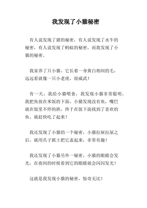 我发现了小猫秘密