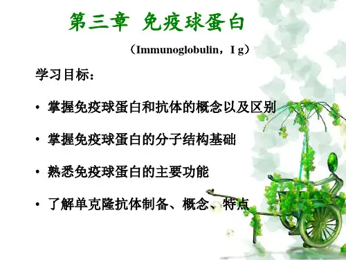 3免疫球蛋白