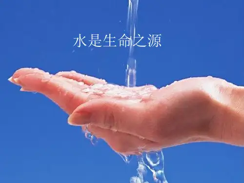 高二地理第二章第一节水污染及其成因课件新人教版选修6