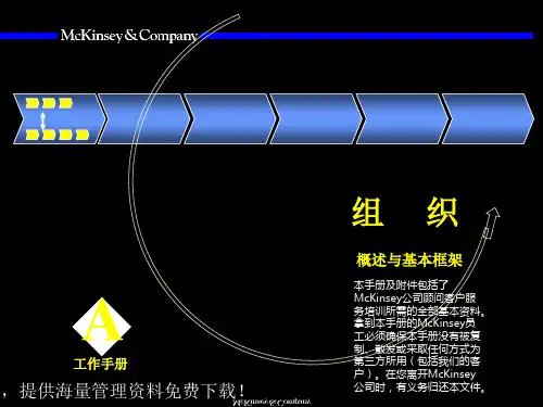 麦肯锡组织概述与基本框架