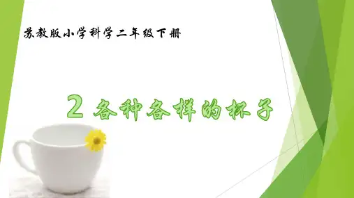 二年级下册科学《2.各种各样的杯子》(2) 苏教版