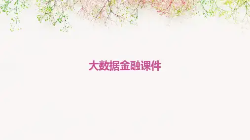 大数据金融课件