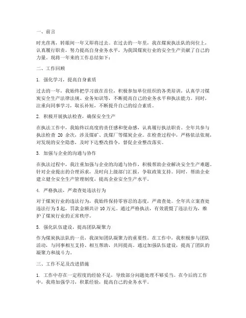 煤炭执法队个人工作总结