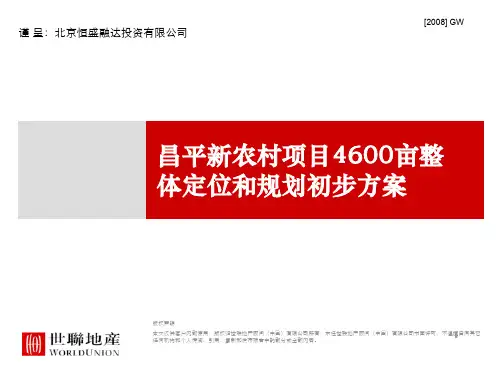 某农村建设项目整体定位和规划初步方案(PPT 63页)
