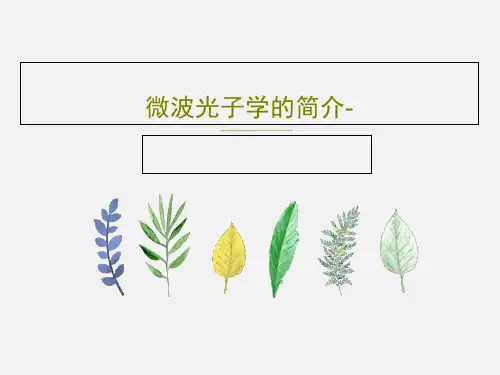 微波光子学的简介-18页PPT
