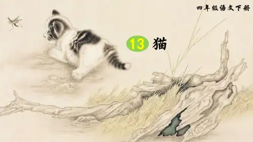 部编版四年级语文下册第13课《猫》优质课件