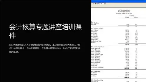 会计核算专题讲座培训课件