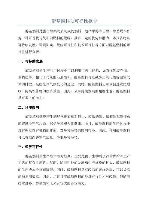 醇基燃料项可行性报告