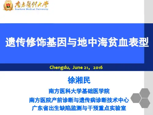 PPT讲义 徐湘民 遗传修饰基因与地中海贫血表型