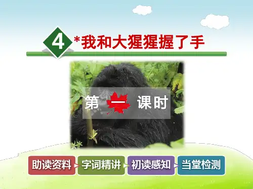 我和大猩猩握了手PPT课件6下冀教版精品4