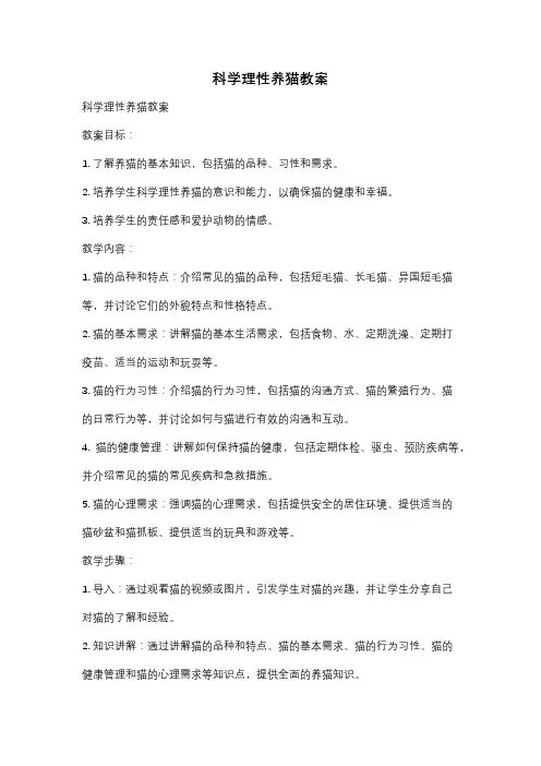 科学理性养猫教案