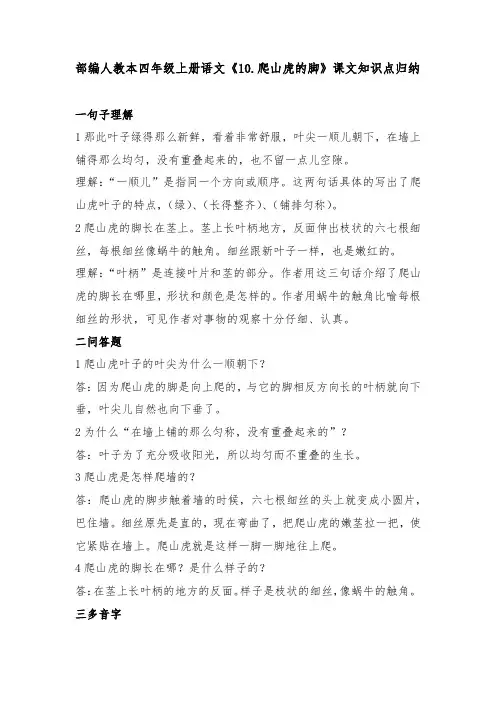 部编人教本四年级上册语文《10.爬山虎的脚》课文知识点归纳