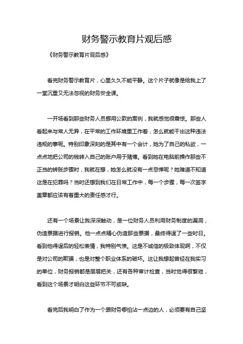 财务警示教育片观后感