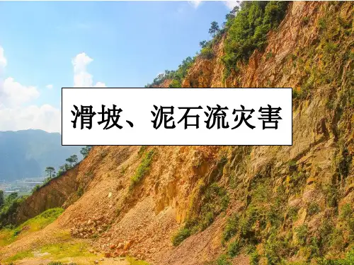 滑坡泥石流-高中地理