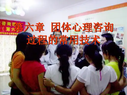 团体心理咨询过程的常用技术ppt课件