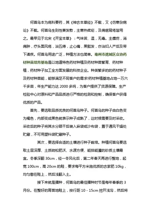 何首乌苗栽培技术