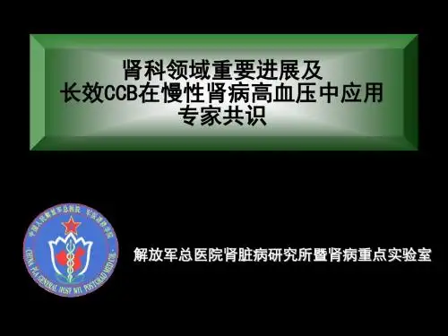 CCB在肾性高血压的专家共识