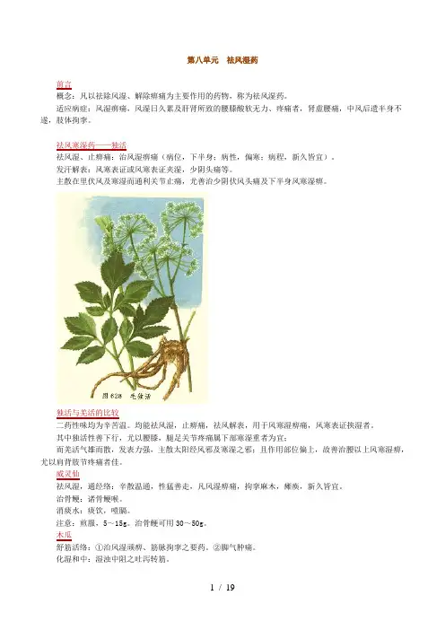 执业中药师中药学祛风湿药