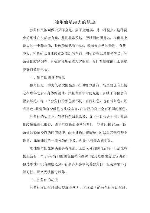 独角仙是最大的昆虫