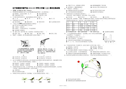 辽宁省朝阳市建平县2018-2019学年八年级(上)期末生物试卷解析版