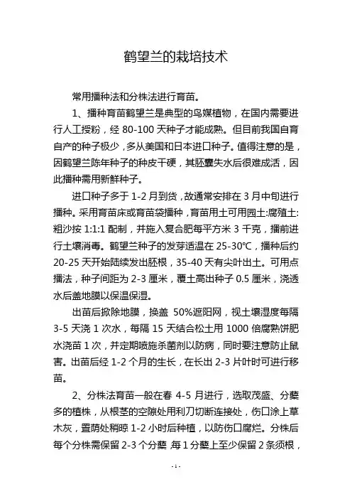鹤望兰的栽培技术